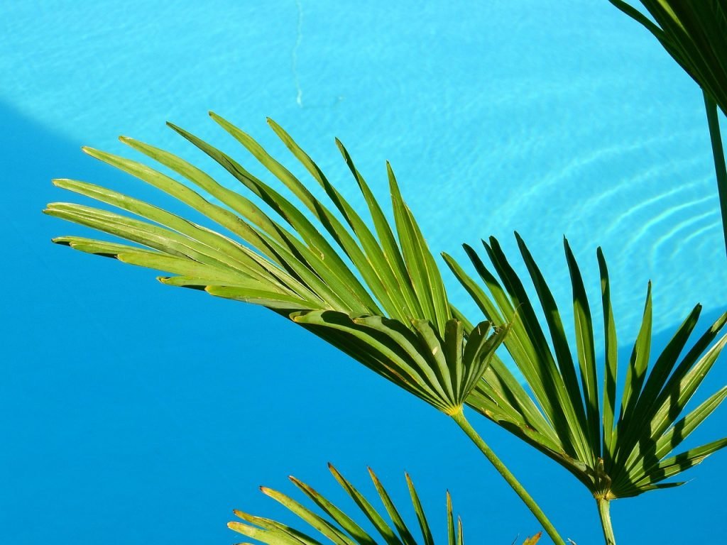 Pool Safety Inspections Jeebropilly