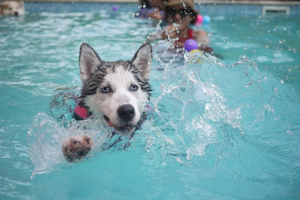 Pool Safety Inspections Wurtulla